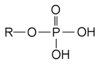 Phosphates – Wikipédia